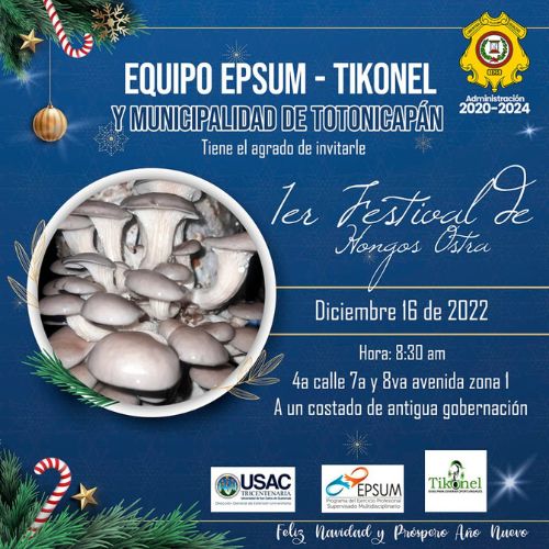 Primer festival de hongos ostra en Totonicapán 2022