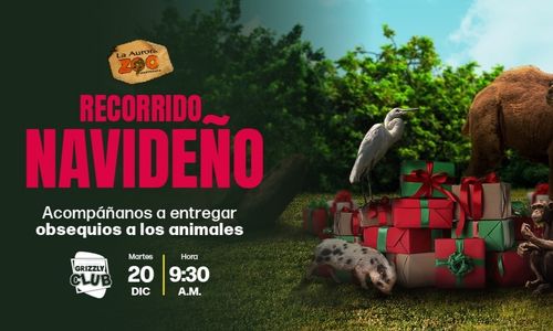 Recorrido navideño en el Zoológico La Aurora 2022