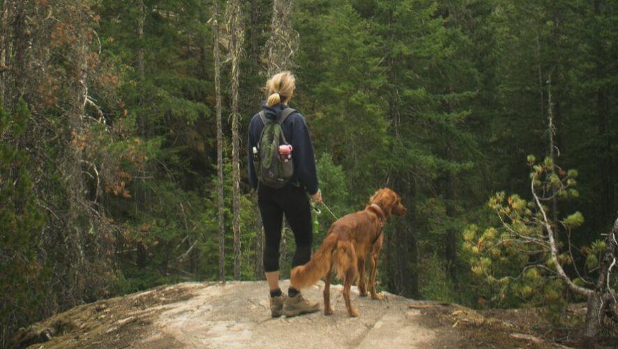 Caminata con mascotas en Laguna El Pino | Enero 2023