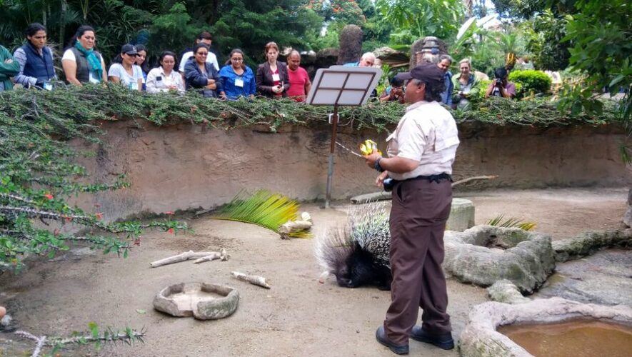 Congreso Internacional de Veterinarios en Guatemala | Marzo 2023