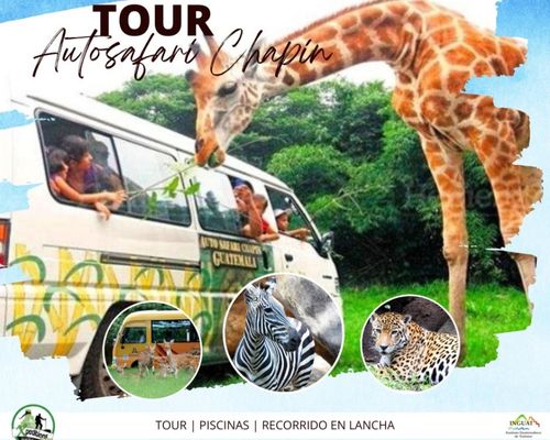 Tour al Auto Safari Chapin 2023
