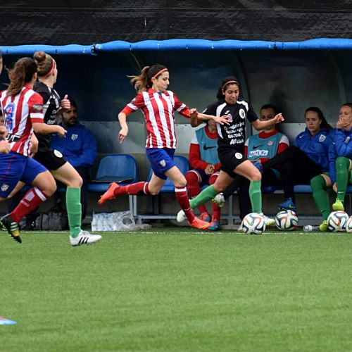 analu martinez dinamo guadalajara