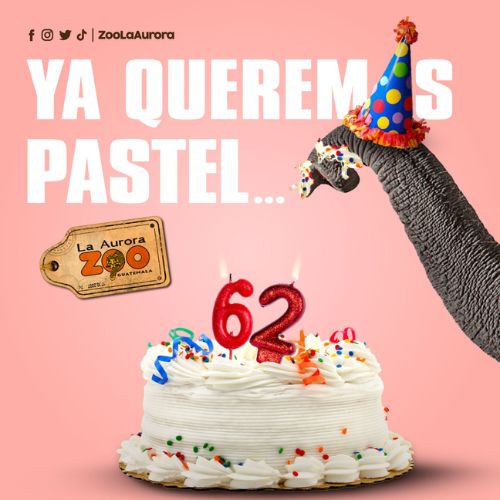 Celebración de cumpleaños de Trompita en el Zoológico La Aurora 2023