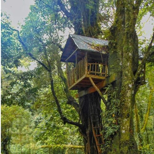 Cerro Papa'a ubicado en el Municipio de San Marcos La Laguna