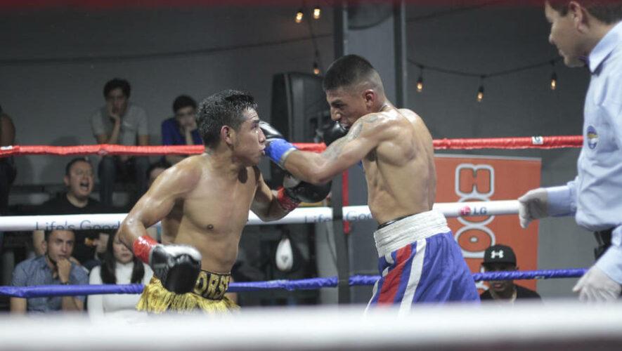 D&eacute;cima Edici&oacute;n de la Liga Apex de boxeo profesional en Guatemala | Febrero 2023