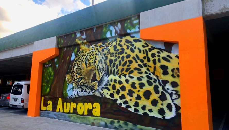 El Zoológico La Aurora cuenta con parqueo remodelado para sus visitantes
