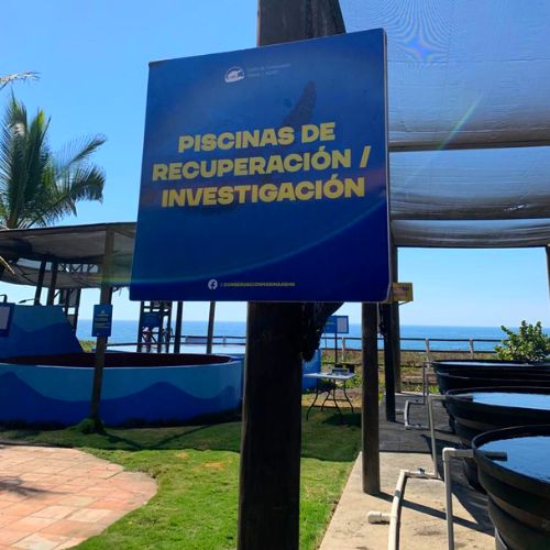 Logros del Centro de Conservación Marina AGH