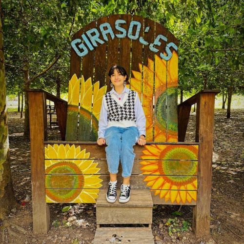 Nuevos atractivos turísticos de este campo de girasoles