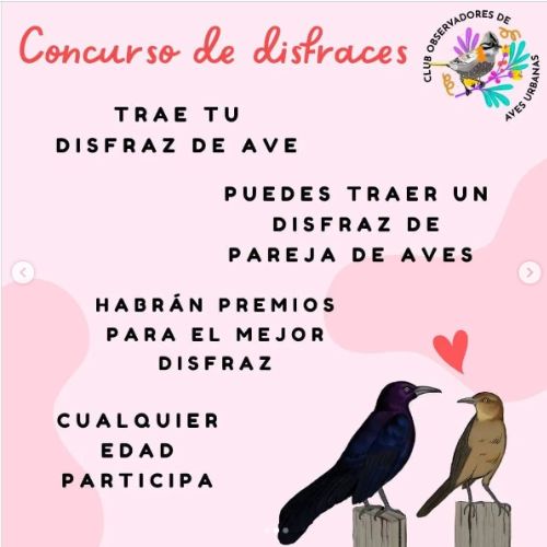 Observación de aves por el Día del Cariño en Guatemala 2023