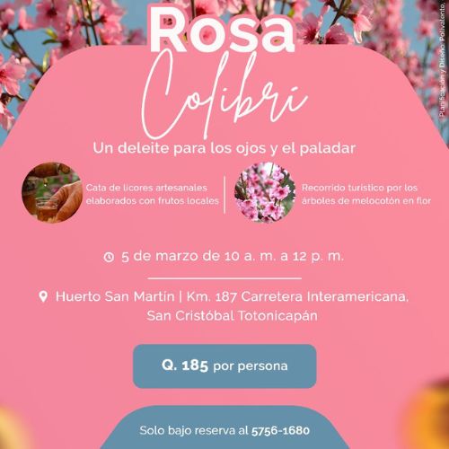 Rosa Colibrí, tour por árboles de melocotones en Totonicapán 2023