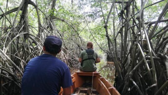 Tour por el manglar hacia Laguna de Palos, Santa Rosa 2023