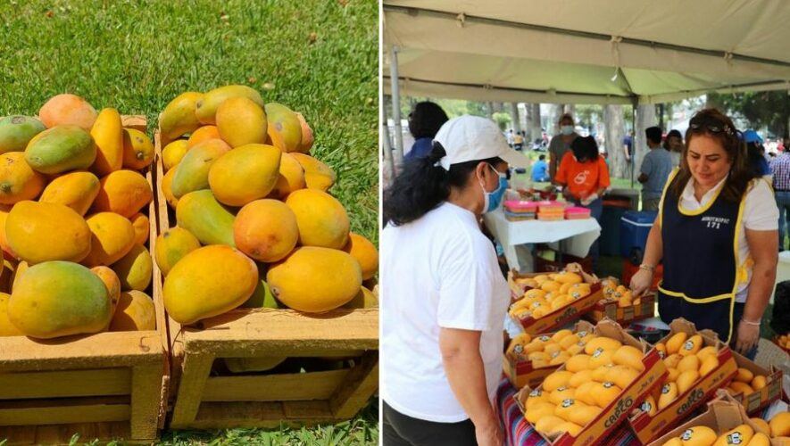 Cuarto Festival del Mango en Avenida las AMéricas Guatemala