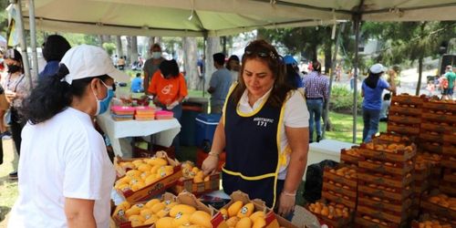 Festival del Mango en Guatemala presentaciones