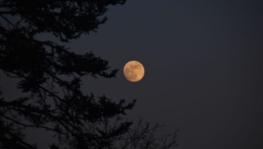 Noche de luna y naturaleza en Ciudad Guatemala | Abril 2023