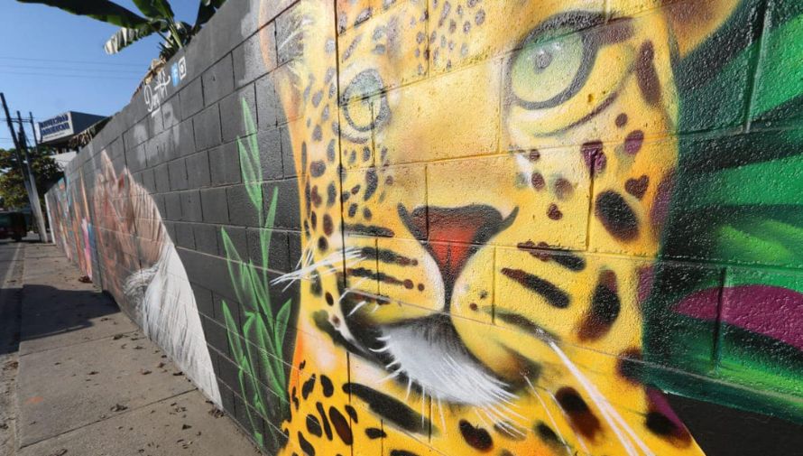 nuevos murales en la Isla de Flores