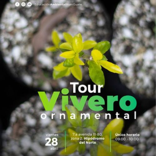 Tour por el Vivero Ornamental La Península en Guatemala 2023