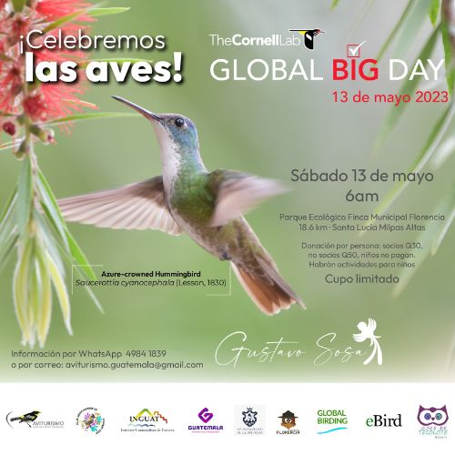 Observación de aves en Finca Municipal Florencia, Antigua Guatemala 2023