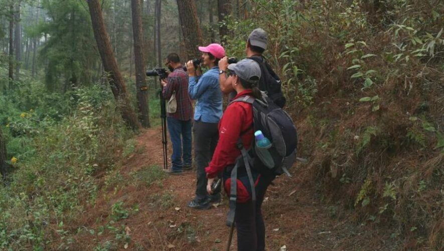 Observaci&oacute;n de aves en Finca Municipal Florencia, Antigua Guatemala | Mayo 2023