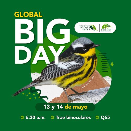 Observación de aves en Parque Naciones Unidas de Guatemala 2023