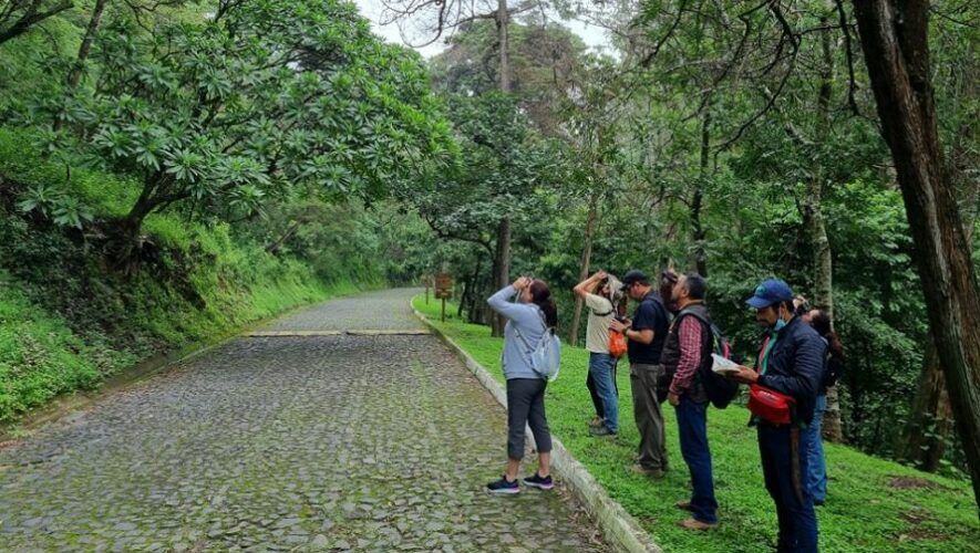 Observaci&oacute;n de aves en Parque Naciones Unidas de Guatemala | Mayo 2023