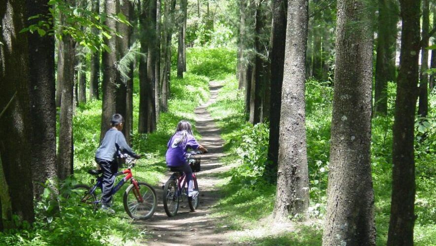 BiciTours familiares en el Parque de las Naciones Unidas