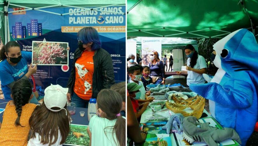 Festival de los Oc&eacute;anos en el Zool&oacute;gico La Aurora | Junio 2023