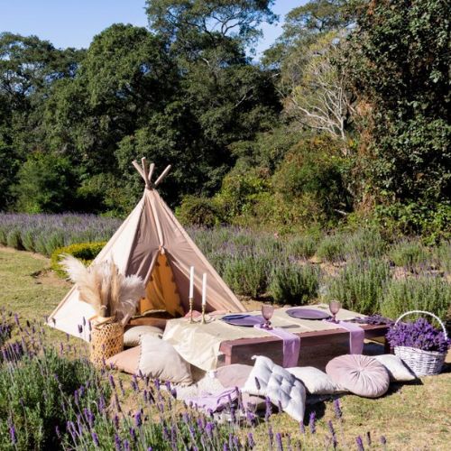 Jardin de lavanda