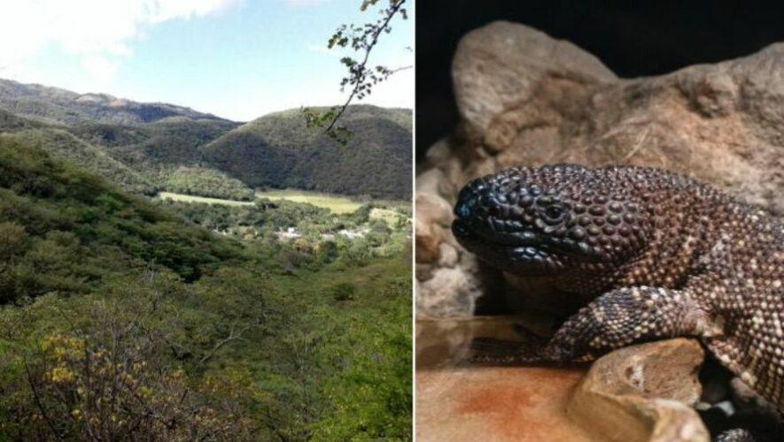 Parque Regional Municipal Niño Dormido, reserva natural en Zacapa