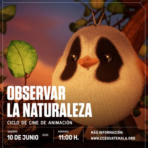 Proyección de cortometrajes sobre el medio ambiente en Guatemala 2023
