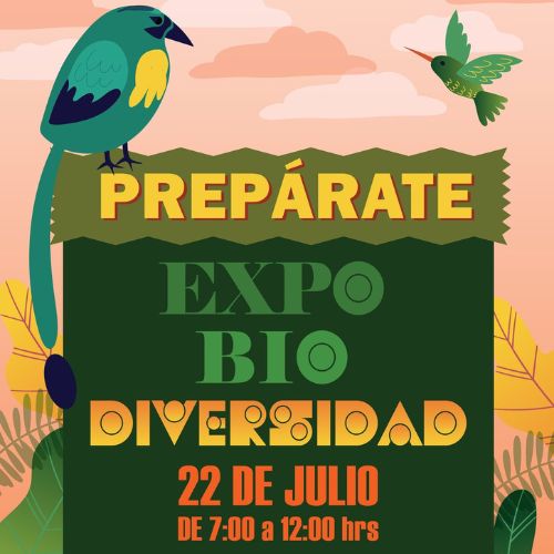 Expo Biodiversidad, observación de aves en Villa Nueva 2023