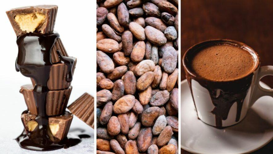 Primer Festival del Chocolate en San Juan del Obispo | Agosto 2023