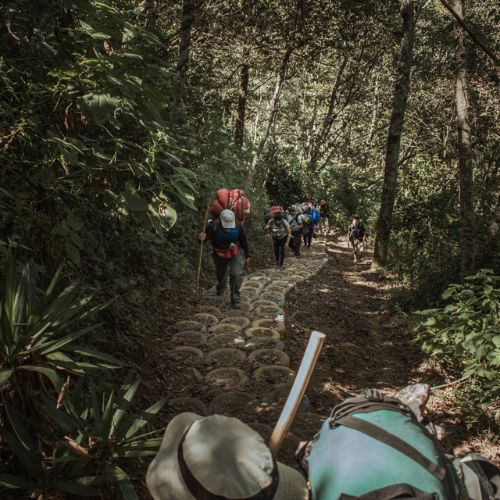 Agencias de viaje que hacen tours y expediciones por Guatemala (4)