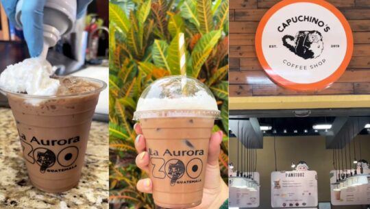 Capuccinos