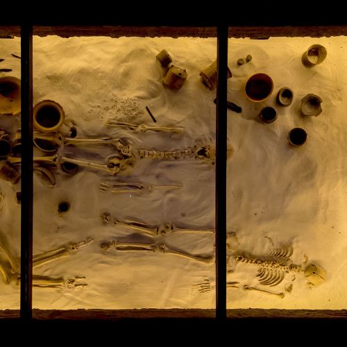 Recorridos guiados por el Museo Miraflores (1)