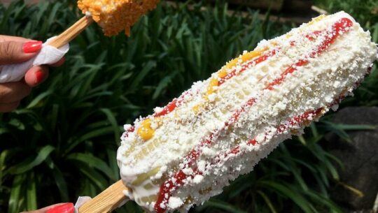 Segundo Festival del Elote en Guatemala Septiembre 2023