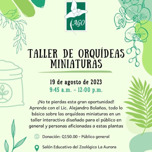 Taller de orquídeas miniaturas en la Ciudad de Guatemala 2023