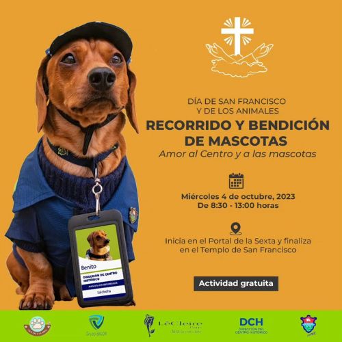 «Amor por el Centro y las Mascotas», tour gratuito con mascotas en el Centro Histórico 2023