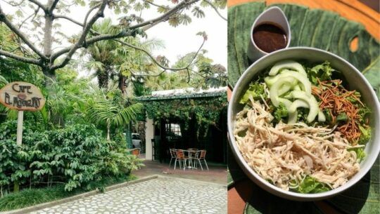 El Monaguito, la cafetería con comida saludable rodeada de jardín en la Ciudad de Guatemala