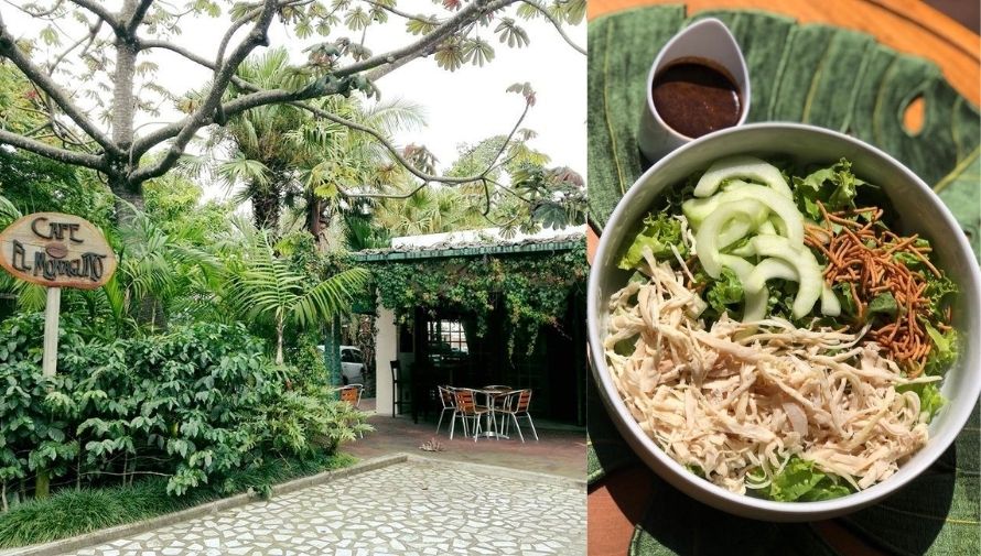 El Monaguito, la cafetería con comida saludable rodeada de jardín en la Ciudad de Guatemala El Monaguito, la cafetería con comida saludable rodeada de jardín en la Ciudad de Guatemala
