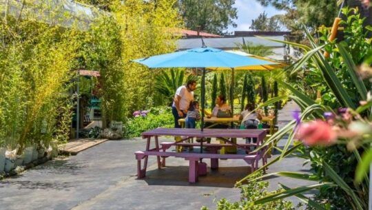 Natural Garden Bistro, un espacio ideal para disfrutar de la naturaleza en Fraijanes