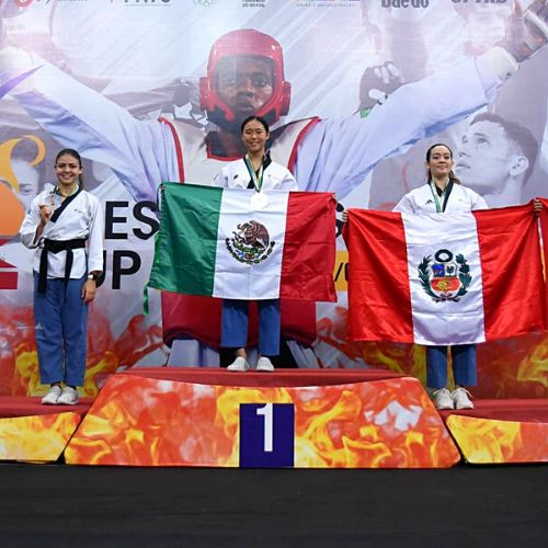 alejandra higueros presidents cup