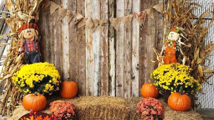 Festival de Calabazas en la Ciudad de Guatemala | Octubre 2023