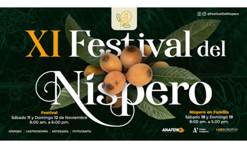 Festival del Níspero 2023