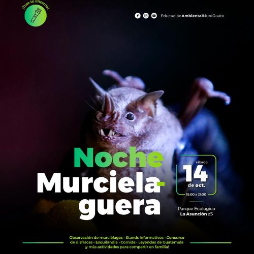 Noche Murcielaguera 2023