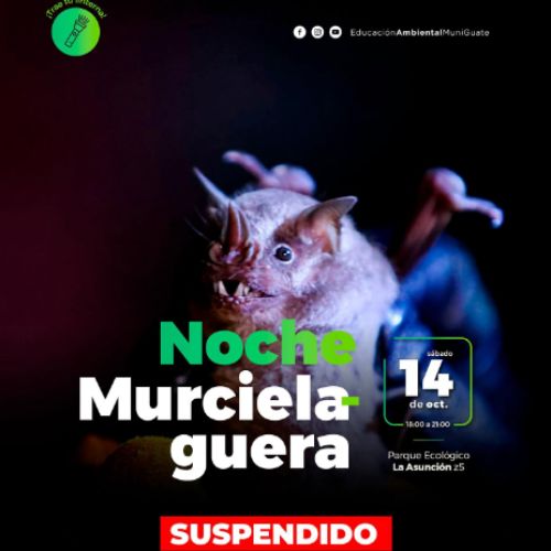 Observación de murciélagos suspendida 2023