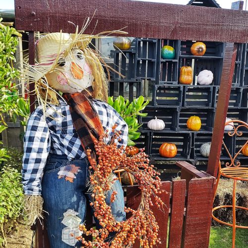 Pumpkin Fest en Guatemala Octubre 2023