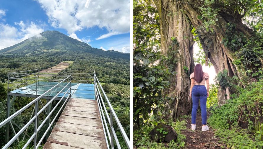 La Sabana, un parque ecológico con un impresionante mirador de vidrio y cabañas