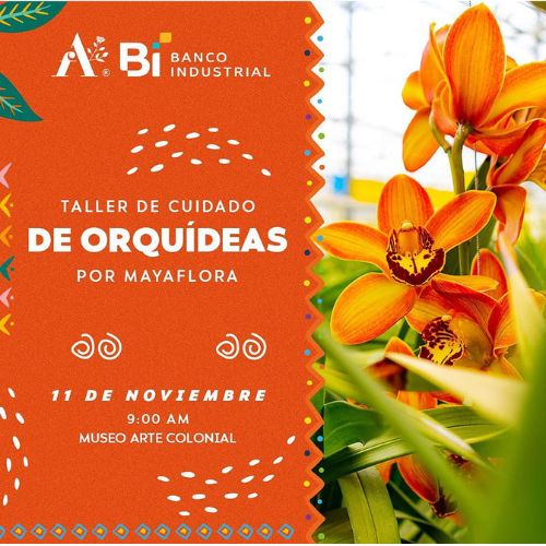 Exposición de orquídeas del Festival de las Flores de Antigua Guatemala 2023