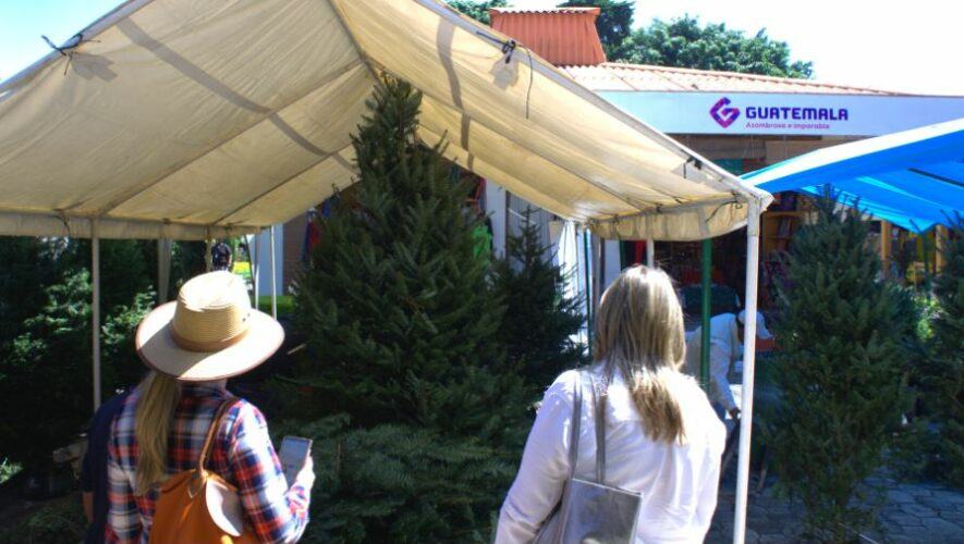 Descripción de la foto para personas con discapacidad visual: dos mujeres observan un pinabete grande en uno de los puestos de venta del Mercado de Artesanías Aurora. (Crédito: Guatemala.com)