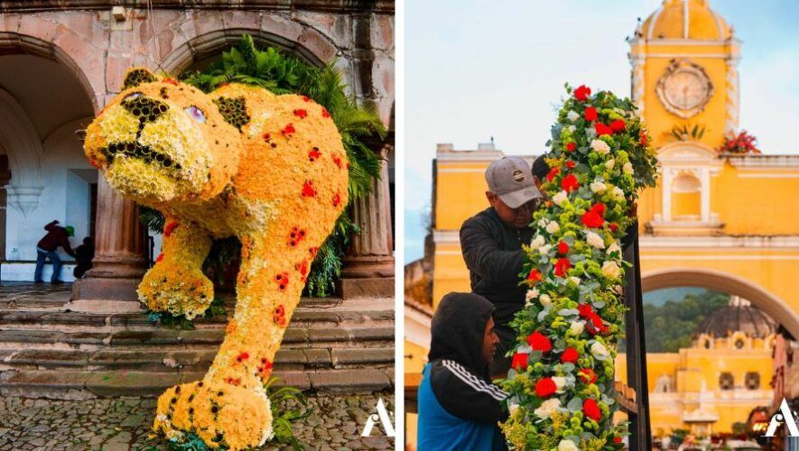 Parqueos disponibles para el Festival de las Flores 2023